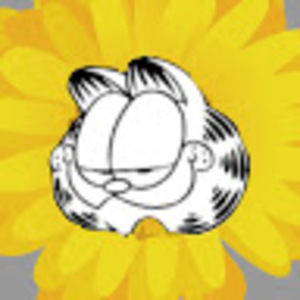 Meet your Posher, Xxnight